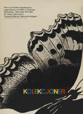 蝴蝶春梦The Collector