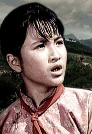 白龙马Bai Long Ma
