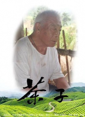 茶子Tea life