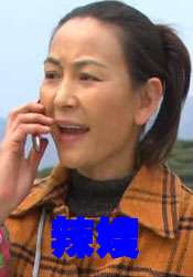 辣嫂SPICY AUNT