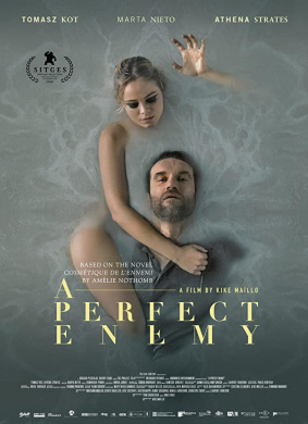 完美敌人A Perfect Enemy