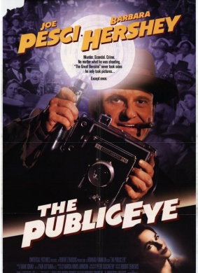摄影师和他的情人The Public Eye